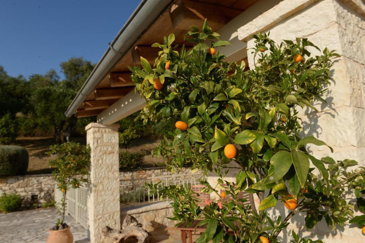 Villa Melanthi Kassiopi Corfu Εξωτερικό φωτογραφία